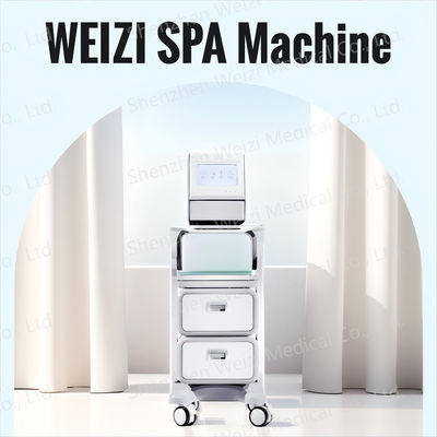 Good price Máquina SPA de hidrogénio com água alcalina com tecnologia de íons negativos on-line