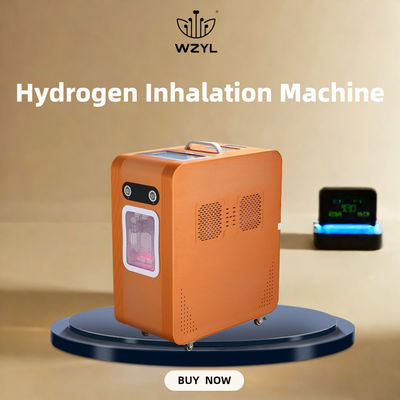 Good price AC220V inalador de hidrogénio oxigénio Máquina de inalação de hidrogénio 3000ml/M on-line