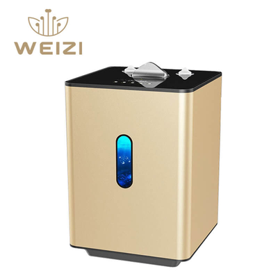 Good price Máquina de inalação de hidrogénio SPE PEM de 225 ml/min com 99,992% de pureza on-line
