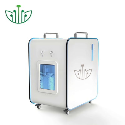 Good price Máquina de Inalação de Hidrogênio de 900ml com Saída de H2 de 600ml/min on-line